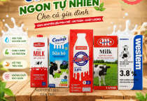 SỮA TƯƠI NGUYÊN KEM CAO CẤP – GIẢI PHÁP HOÀN HẢO CHO PHA CHẾ & KINH DOANH